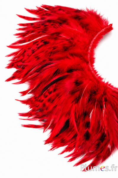 Franje haan chinchilla - lange veren 10-15 cm - rood